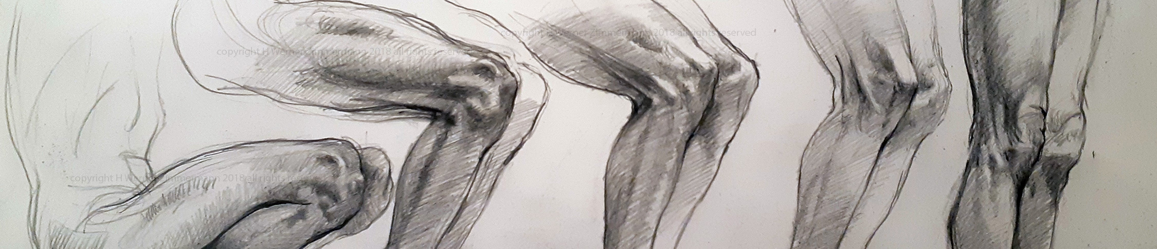 detail of knee sequence